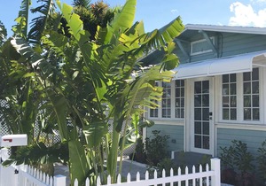 Blue Lizard Cottage 2 - Walk/Bike Downtown&Beach