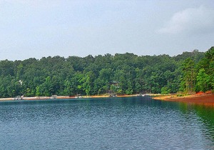 Carolina Landing Camping Resort Cabin 12