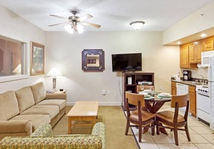Comfort & Convenience! 2 Awesome Units! Close to Foxfire Mountain Adventure Park, Pool