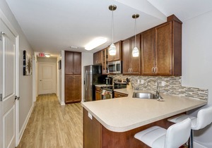 Dog Friendly - Charming Downtown Cottage - Handicap Accessible - Fast WiFi - Off Street Parking