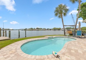 Dolphin Bayou