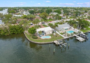 Dolphin Bayou