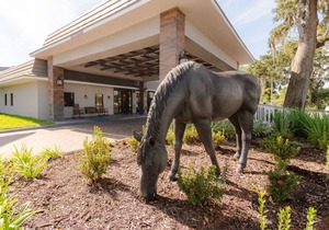 Equus Inn - Ocala's Only Boutique Hotel!