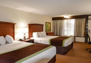 Family and Friends Vacation! 3 Great Units, Near Orlando Premium Outlets, Golf