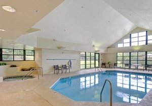 Family & Friends Getaway! 2 Serene Units, Near Ripley's Aquarium of the Smokies