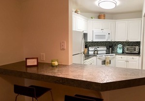 Fort DeSoto Beach - Modern 2nd floor One Bedroom at the Holiday Island Complex
