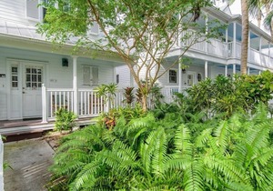 Green Bamboo in the Truman Annex