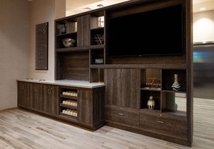 Hampton Inn Tampa Downtown Channel District
