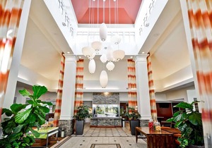 Hilton Garden Inn Tampa North Busch Gardens