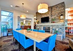Hilton Garden Inn Tampa North Busch Gardens