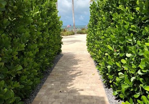 🌸Home(#5) “AFTER DUNE🍹DELIGHT”(-approximately 50 ft from Private beach entrance)🌸