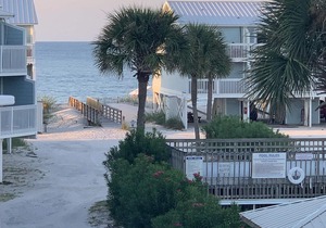 Home is where the ocean is! Book your town house today! ☀️🐬