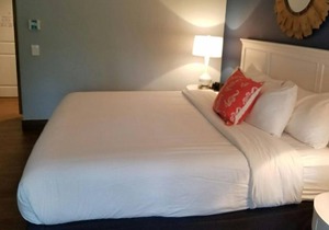 Making The Best Memories Along The Way! 2 Comfortable Units, Pool, Free Parking