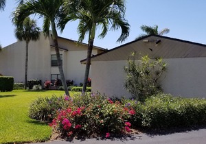 Palm River Estates - Courtwood