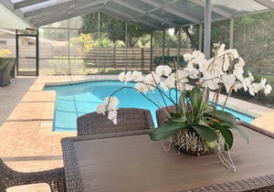 Private heated pool, close to Siesta beach.