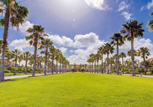 Private Pool| Themed Rooms| Theater| Near Disney!