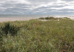 Sand Reef Holiday #14 - 350 yards from beach!