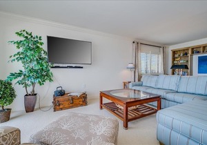 Sea Oats 217 Condominium Condo