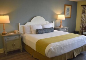 Swim with Amazing Manatees! Relaxing Room, Fantastic View, Outdoor Pool