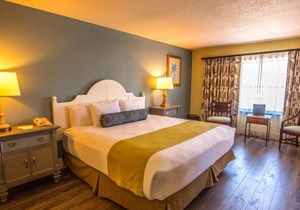 Swim with Amazing Manatees! Relaxing Room, Fantastic View, Outdoor Pool