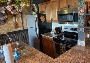 Tiki Themed Condo on Tampa Bay