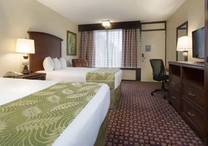 Ultimate Disney Adventure! 3 Serene Units, Restaurant, Free Shuttle, Pool