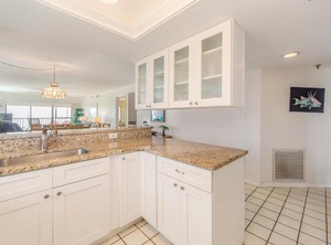 Arie Dam | Madeira Beach