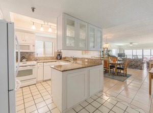 Arie Dam | Madeira Beach
