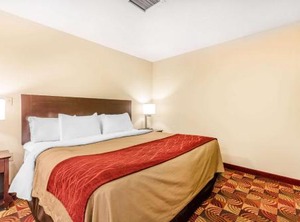Comfort Inn Suites Jasper Hwy West | Jasper