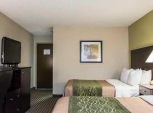 Comfort Inn Suites St Petersburg Carillon Park | Clearwater