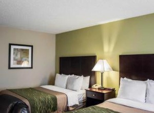 Comfort Inn Suites St Petersburg Carillon Park | Clearwater