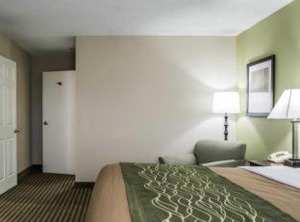 Comfort Inn Suites St Petersburg Carillon Park | Clearwater