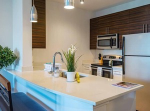 Frontdesk Apt Hyde Park | North Hyde Park