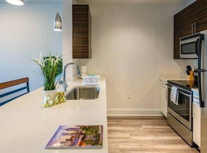 Frontdesk Apt Hyde Park | North Hyde Park