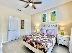 Banana Palm | West Kissimmee