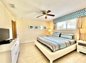 Banana Palm | West Kissimmee