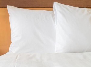 Holiday Inn Express Hotel Silver Springs Ocala Ihg | Silver Springs