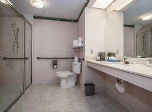 Holiday Inn Petersburg West Ihg Hotel | United Central