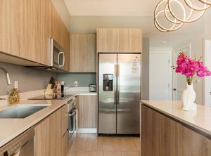 Arya Miami | Northeast Miami