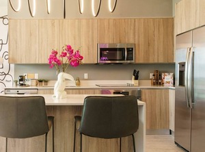 Arya Miami | Northeast Miami