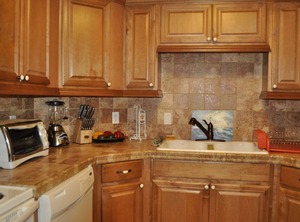 Ocean Manor | Barrier Island