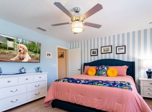 Beach Palm | West Kissimmee