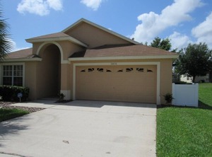 Umco Clermont | Orange Tree