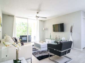 Hollywood | Aventura