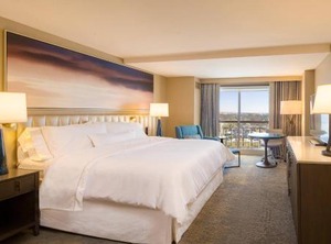 Tampa | Harbour Island