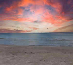 The Beach 