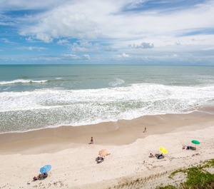 Rental Ocean 