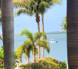 Boca Ciega Resort 