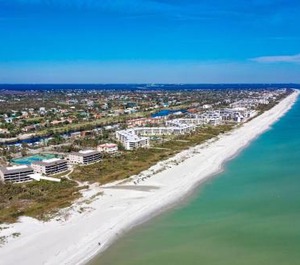 Sanddollar 