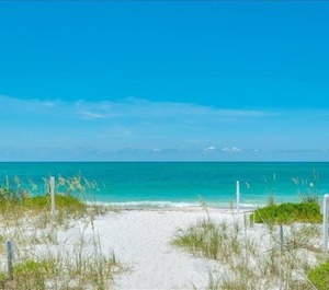 Sea Oats 